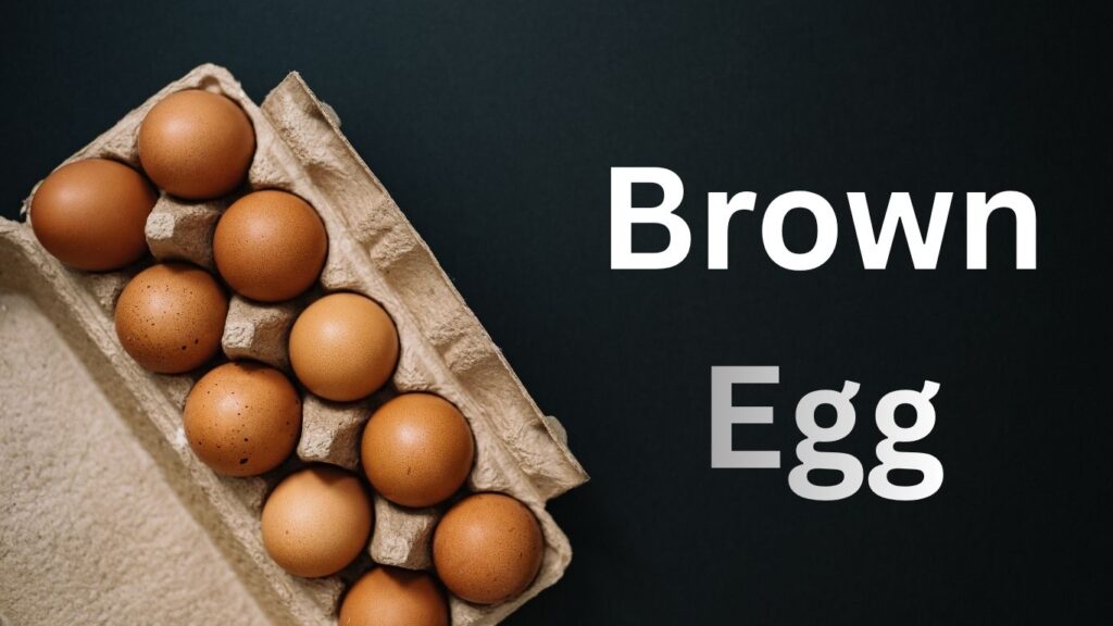 Brown Eggs vs White Eggs