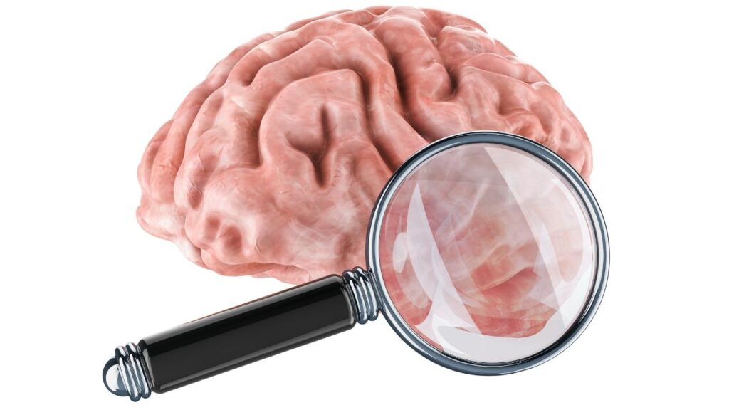Why Women Experience Brain Fog After 50 and How Strength Training Improves Memory