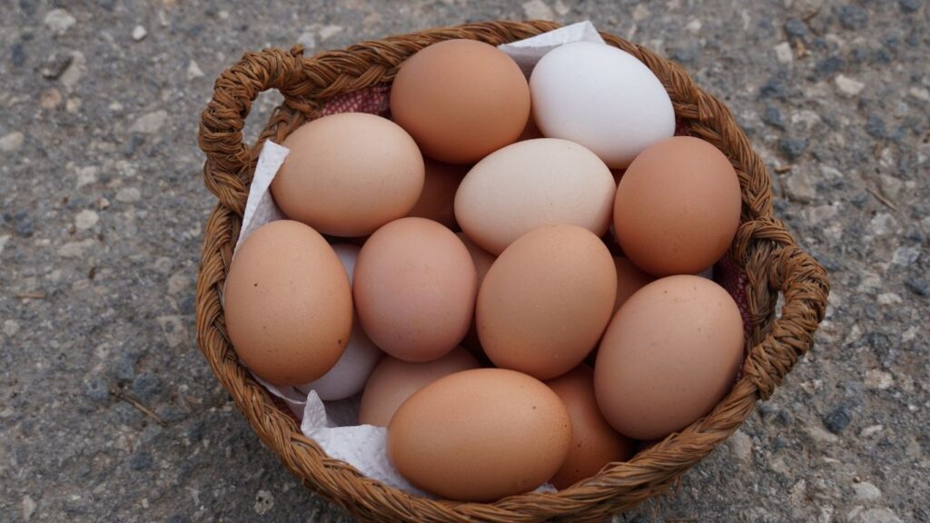 Brown Eggs vs White Eggs