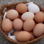 Brown Eggs vs White Eggs