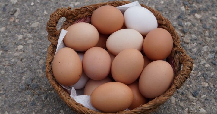 Brown Eggs vs White Eggs