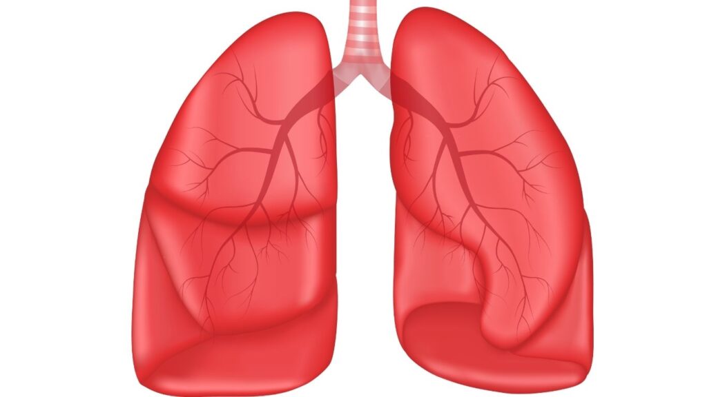 Your Body Speaks Before Disease Appears: Learn the Hidden Early Warning Signals