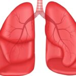 Your Body Speaks Before Disease Appears: Learn the Hidden Early Warning Signals