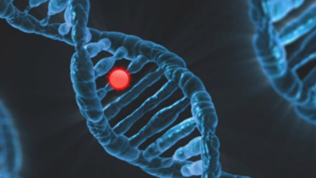 The Genomics-Inspired Daily Movements