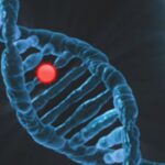 The Genomics-Inspired Daily Movements