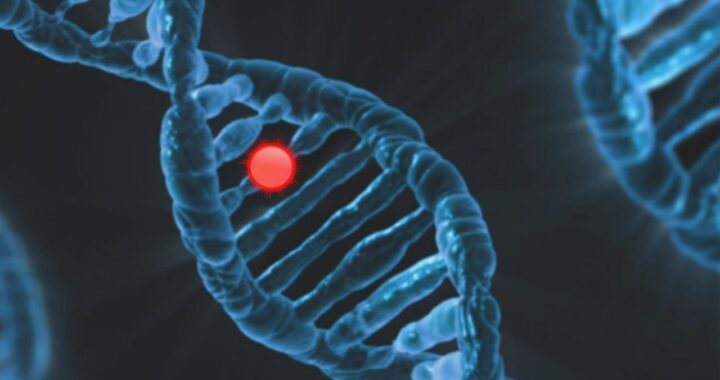 The Genomics-Inspired Daily Movements