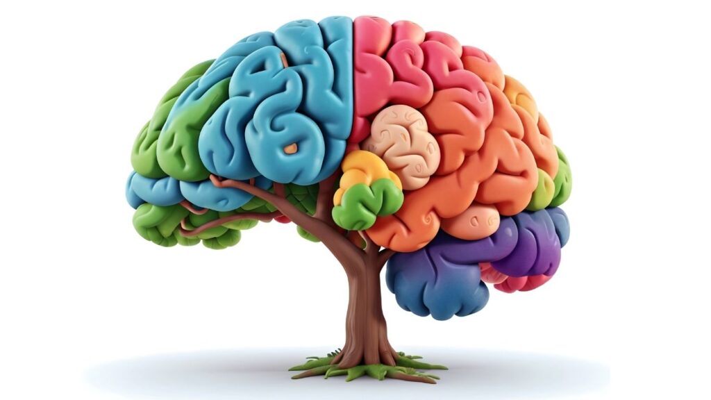 Why Women Experience Brain Fog After 50 and How Strength Training Improves Memory