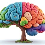 Why Women Experience Brain Fog After 50 and How Strength Training Improves Memory