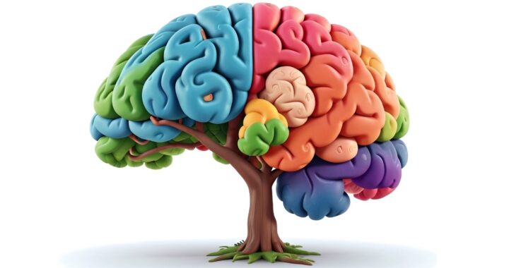 Why Women Experience Brain Fog After 50 and How Strength Training Improves Memory